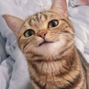 avatar GoddessHylian