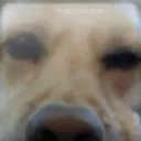 alexnine9