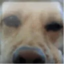 alexnine9