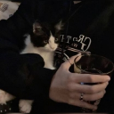 Discord Avatar