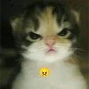 basagashka