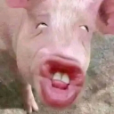 avatar ไอ้ต๋อยซอยลึก