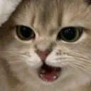 keaaaaaan