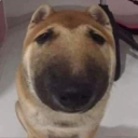 @p