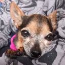 Аватар yashajabka