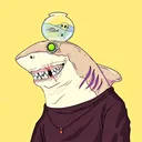 happyshark_official