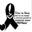 avatar Gisel_Volcoks