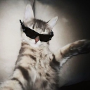 avatar ℒ𝒾𝓈𝒶