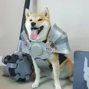 reinforce