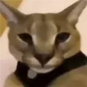 theheckeur