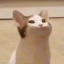 bloublibla