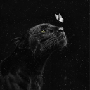 avatar ItsSunshineBaby