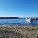 rikupi.