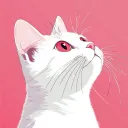 freeraincat