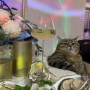 avatar Existing again?