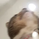 simplybluu