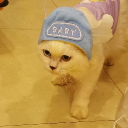 canhanmvp161's Avatar