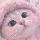 avatar ꜱᴇʟɪɴᴀఇ