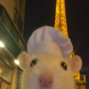 avatar eli𐔌՞. .՞𐦯