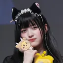 nip_rs