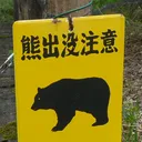 yellowbear1926