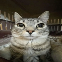 avatar Metro_politen