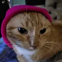 vexxjacobs