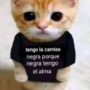 spnky0134