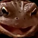 southtoad