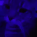 afellowdisc0rder avatar