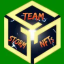 stormteamnfts avatar