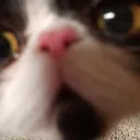 itz_m1nk