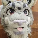 mikosyellowhawk
