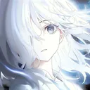 nocteau