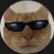 alekshakk avatar