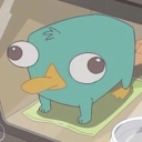 penguin01081#0625's avatar