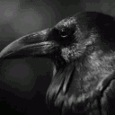 ravenishh
