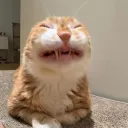 tormenting_