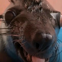 avatar Zero Charisma