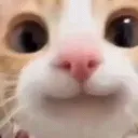 zwzzzaaa