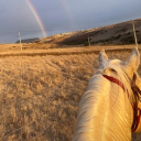 avatar 𝑰𝒃𝒂𝒓𝒓𝒂 🐉