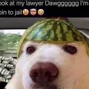 eynamite