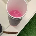 themudgiscian
