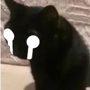 korblyte