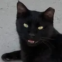 blackisthdnightsky