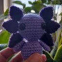 xarpyboy