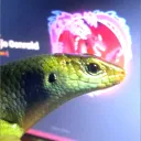 ajiedev