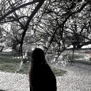 avatar showmeyourdeath