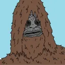 somerandomdude5205