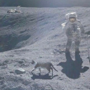 avatar Dianyaa :3 (They/Them)